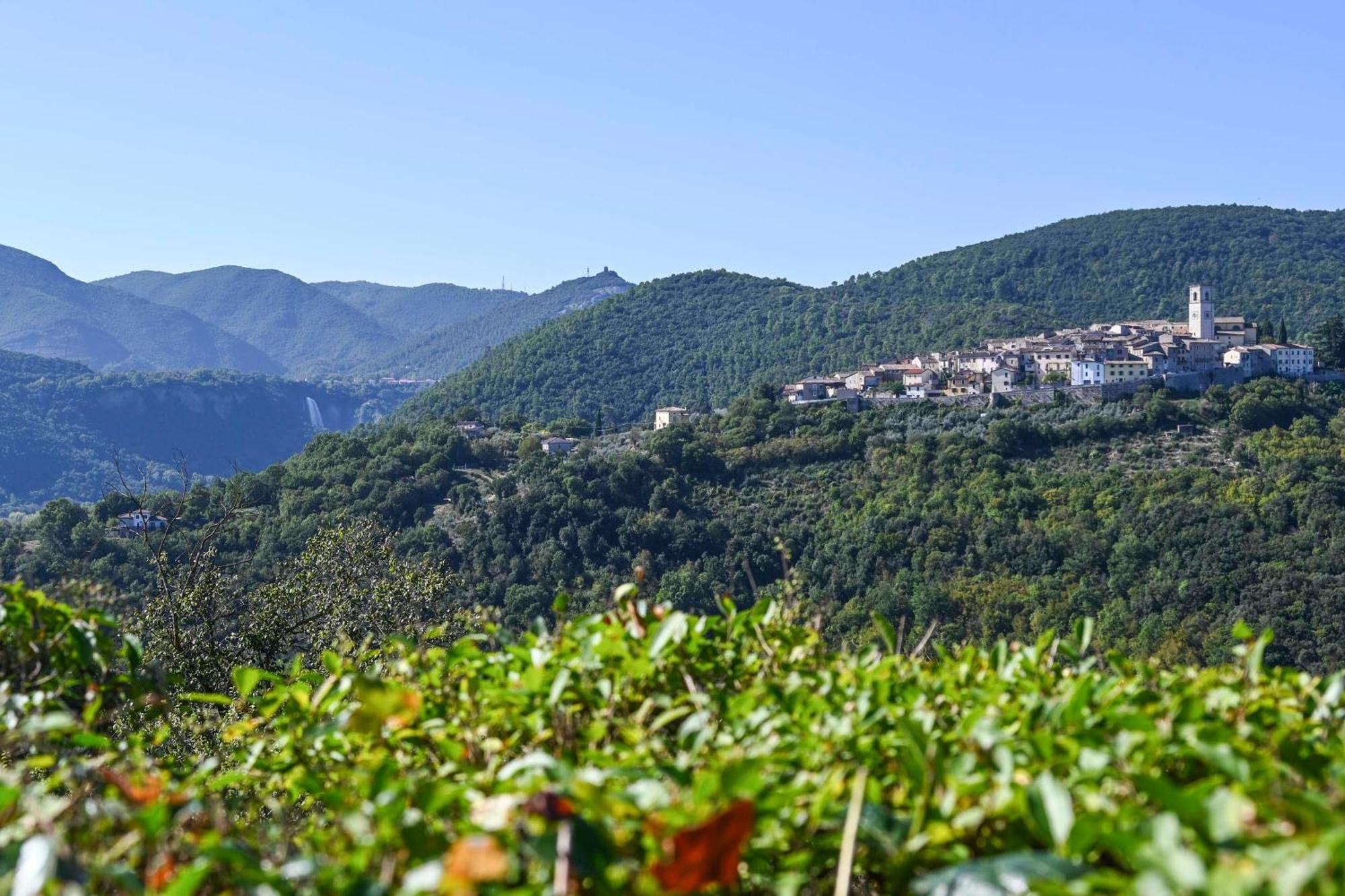 Appartamento Il Colle Di Torre Orsina Esterno foto